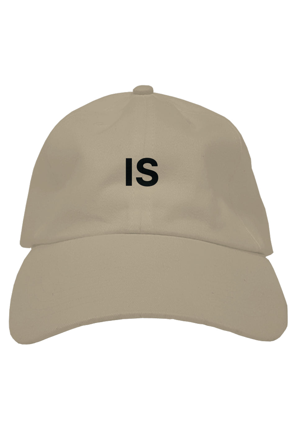 premium dad hat
