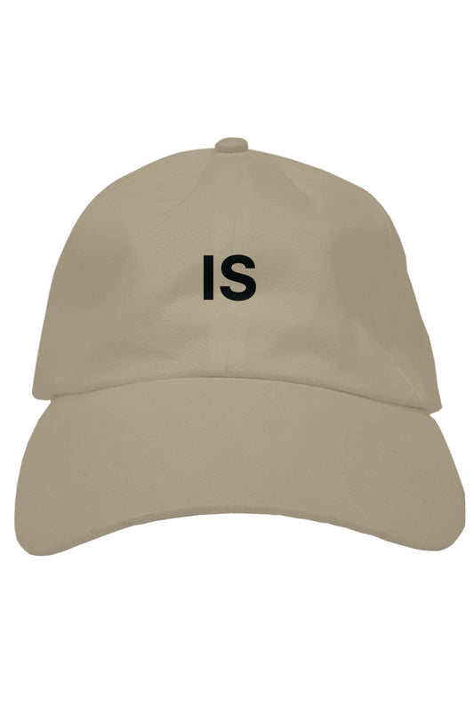 premium dad hat